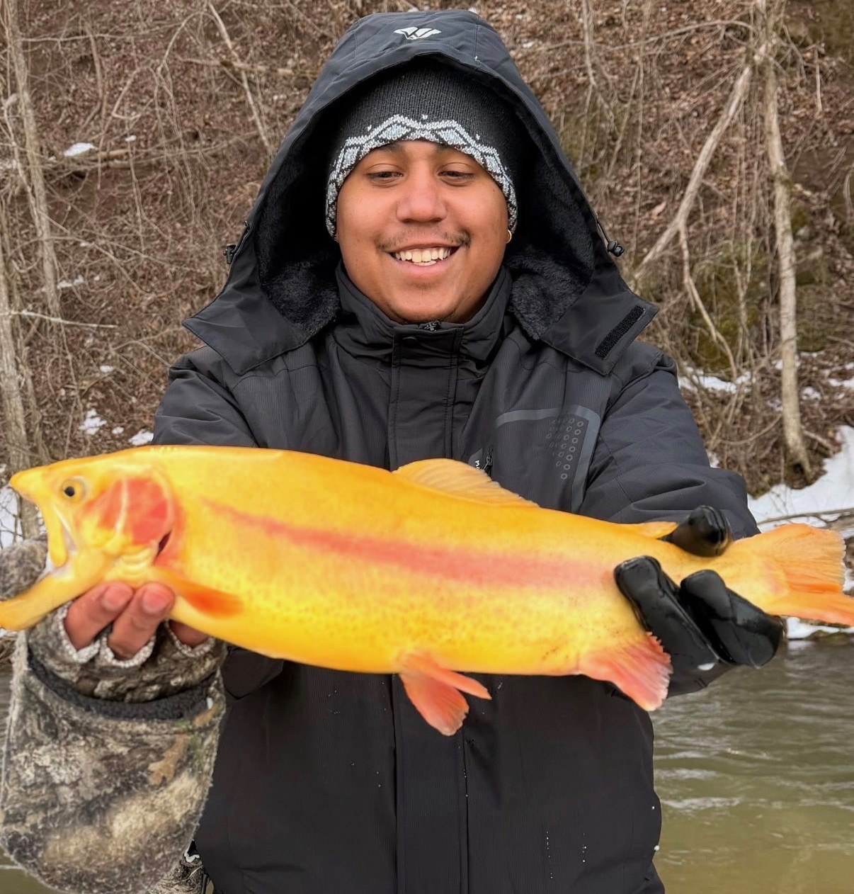 Angler holding a bright golden trout in cold-weather gear