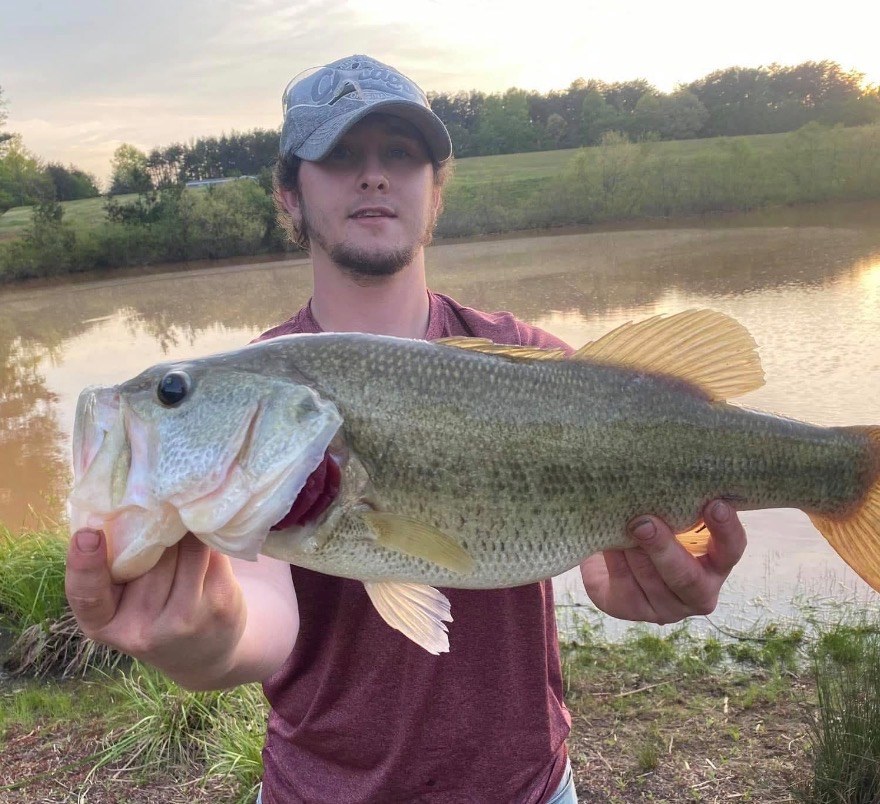 Angler holding a largemouth bass beside a pond at sunset